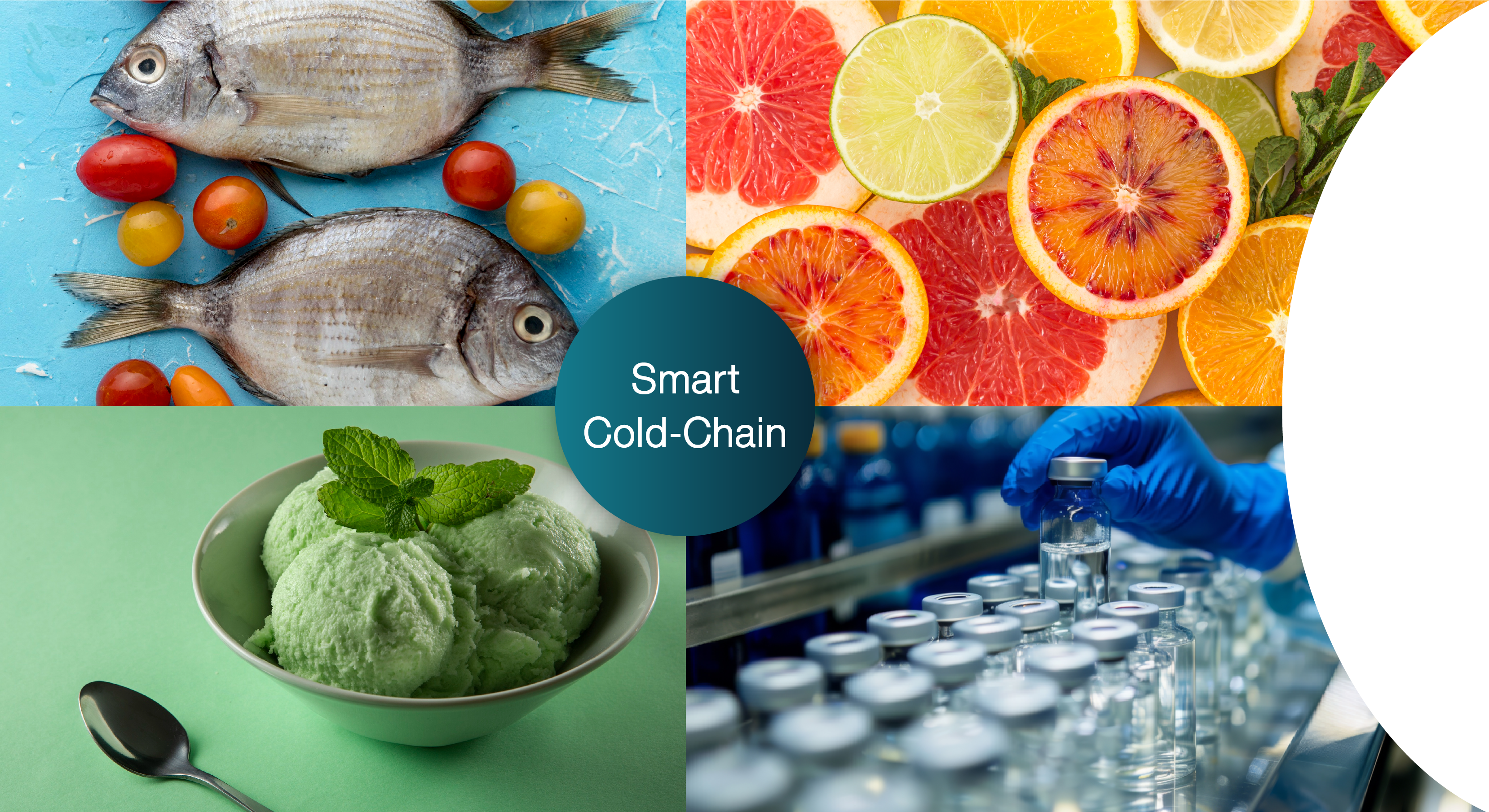 Smart Cold-Chain System — eco-friendly cold chain logistics diagram
