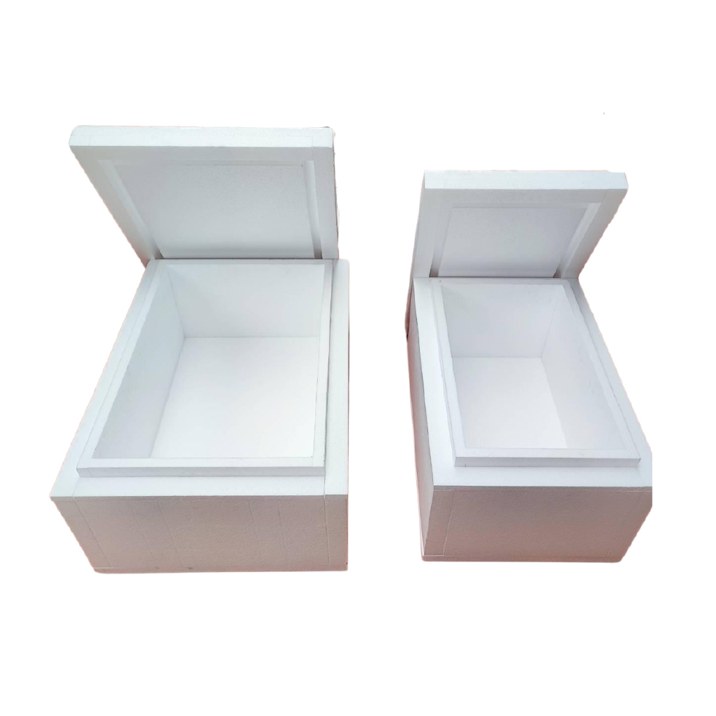 Eco Cool Boxes — Smart Cold Chain Technology