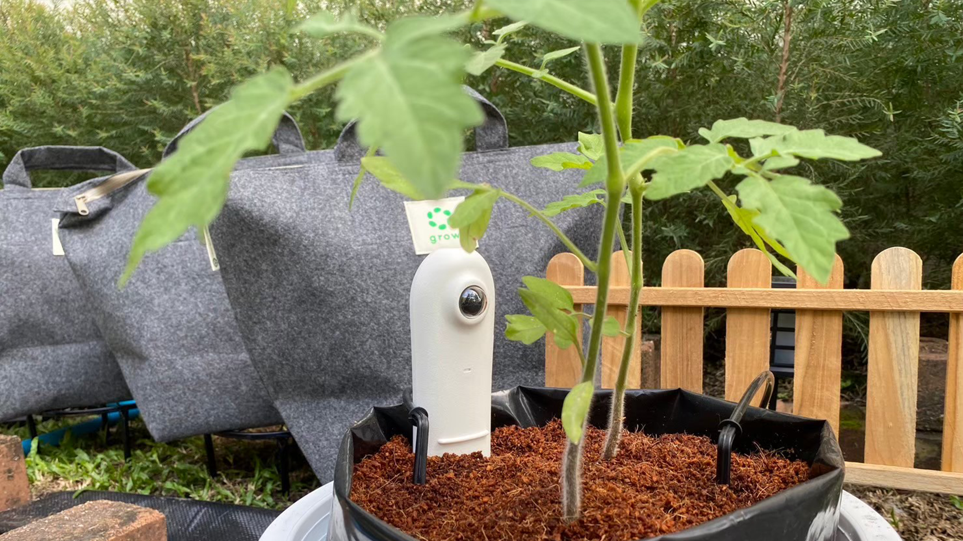 GX Labs - Sow the Seeds of Change - Green Technology and Decarbonization