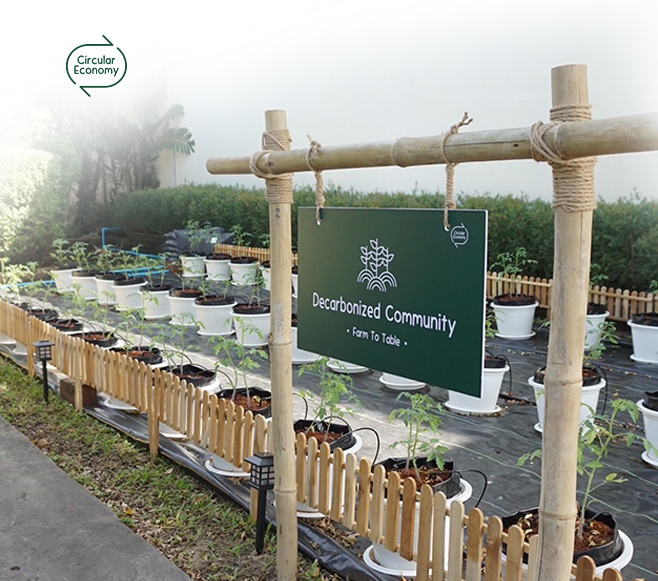 grow FIELD - Community farm