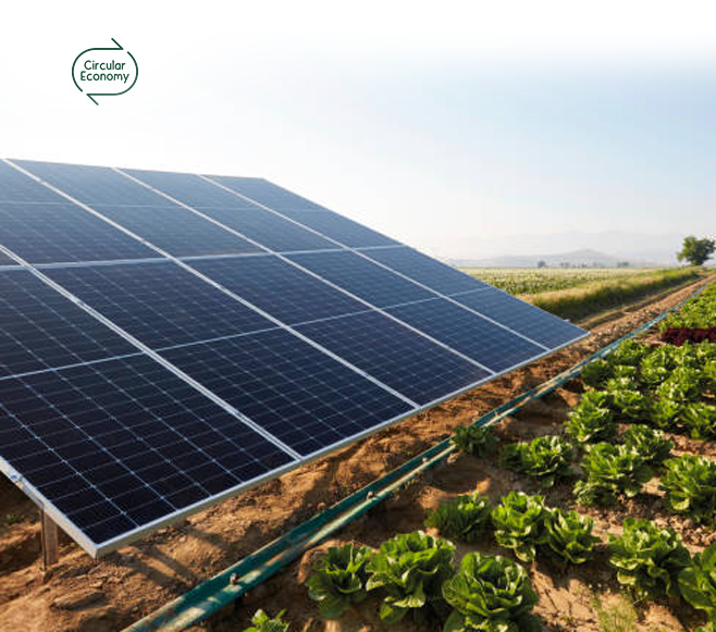 Agri Solar Power - Solar panel system