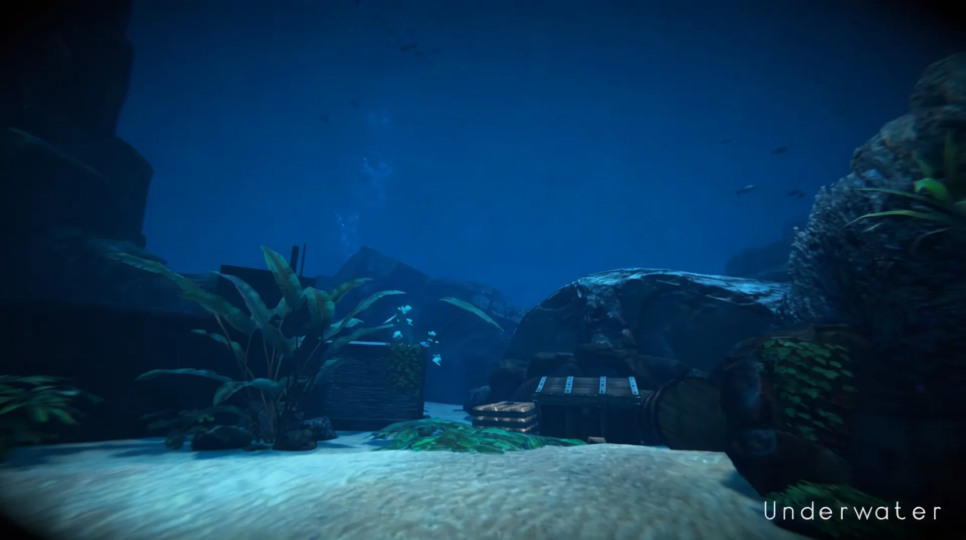 Underwater Tour gallery image 2