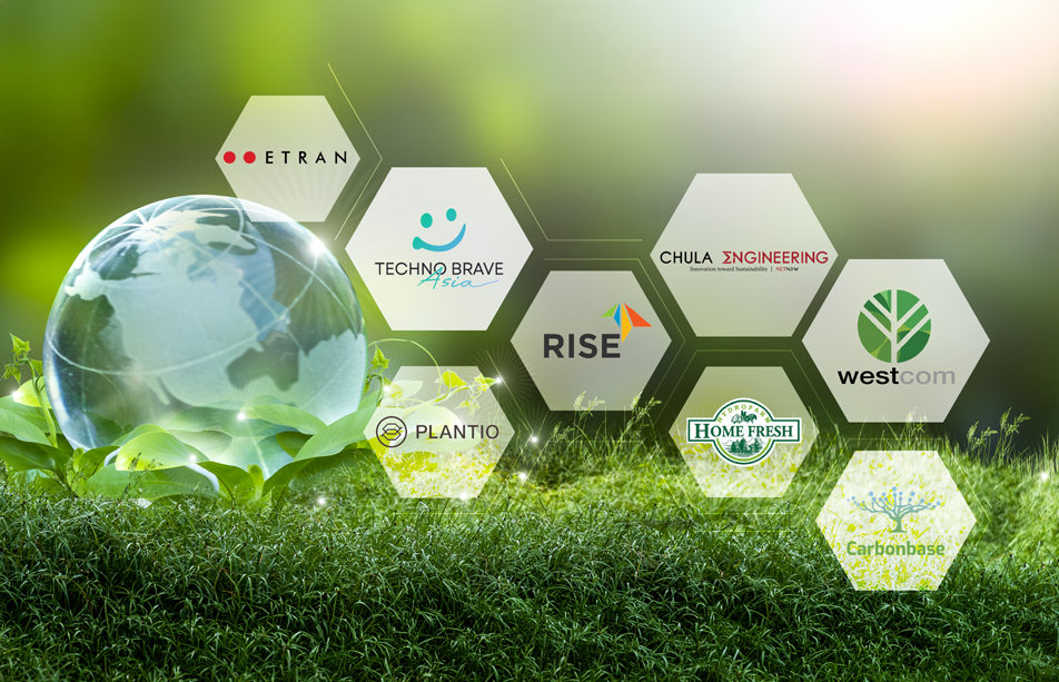 Decarbonizing Community — collaboration between startups, universities and corporations for sustainable solutions